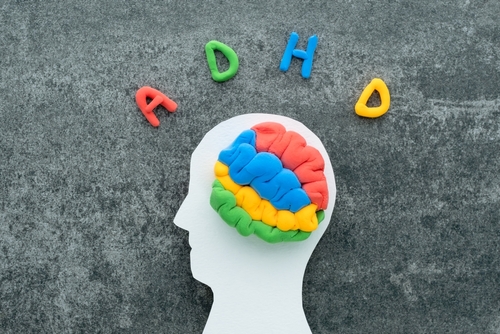 Brain made of colored clay with the letters ADHD above it