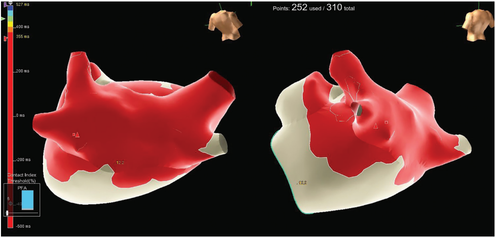Vivas-Fig2-Feb 2026.png 