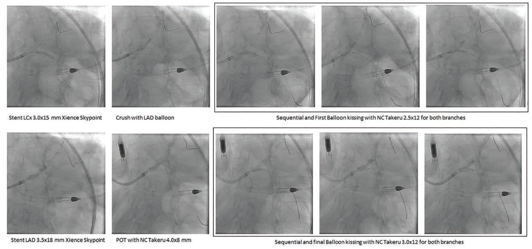 Waksman - Fig 4 - June 2024
