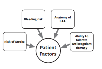 Wesley - Fig 3 - July 2024