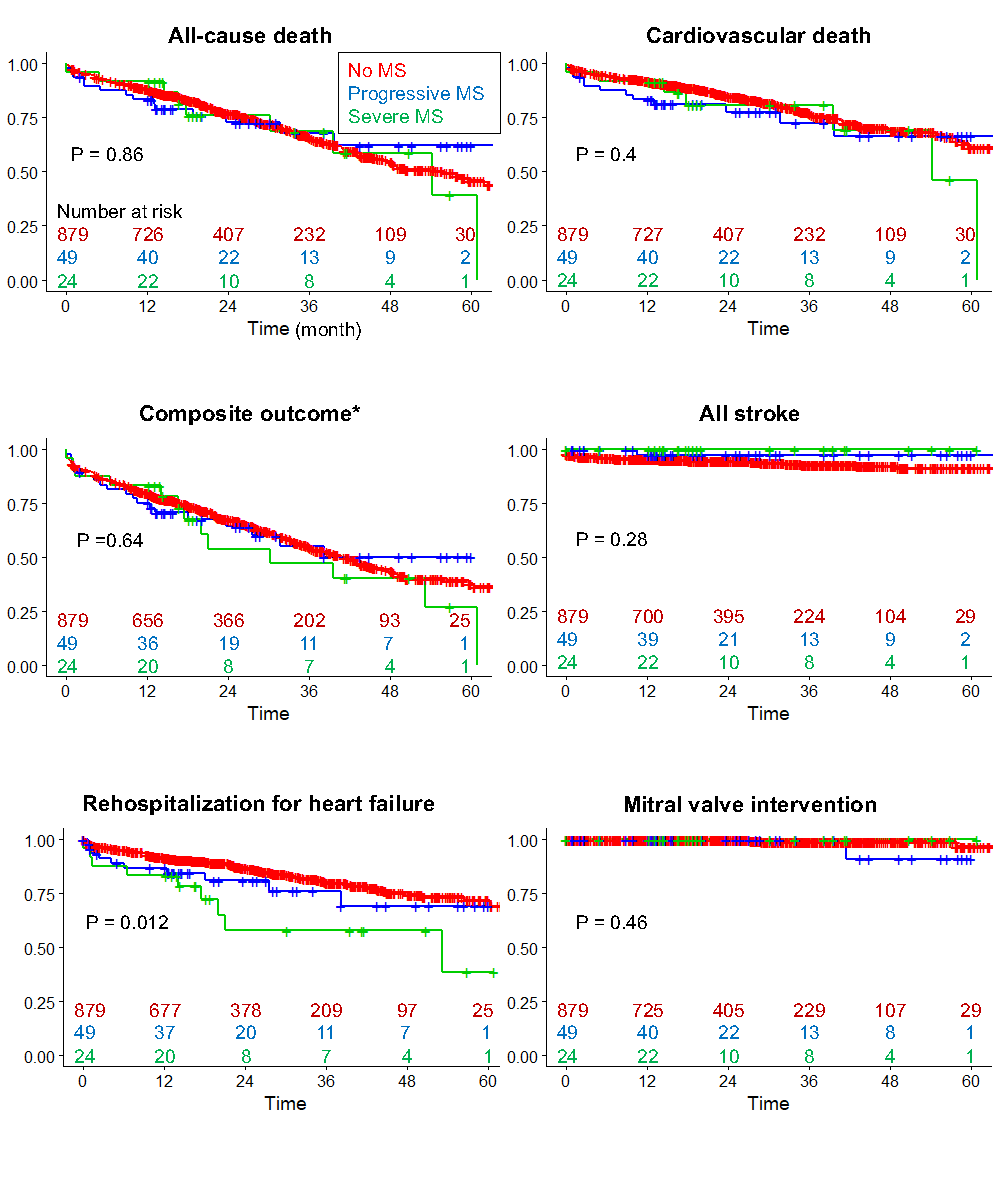 Figure 2. Unadjusted Kaplan-Meier curves for