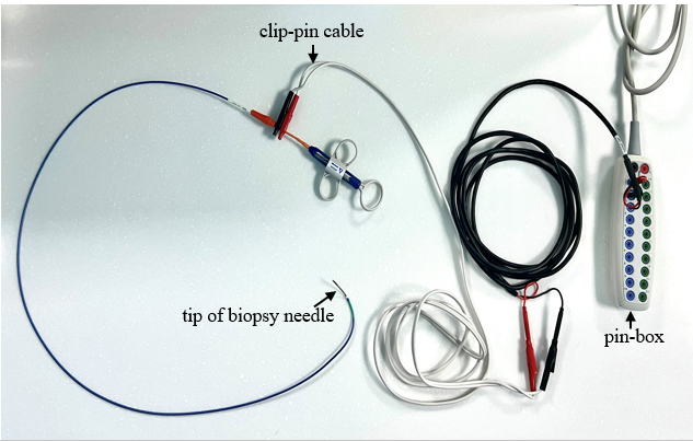 Figure. (C) (C, D) Visualization of the biopsy needle on the electroanatomical mapping system (EAM) system. The tip of the biopsy needle is represented by the yellow circle in the EAM system.