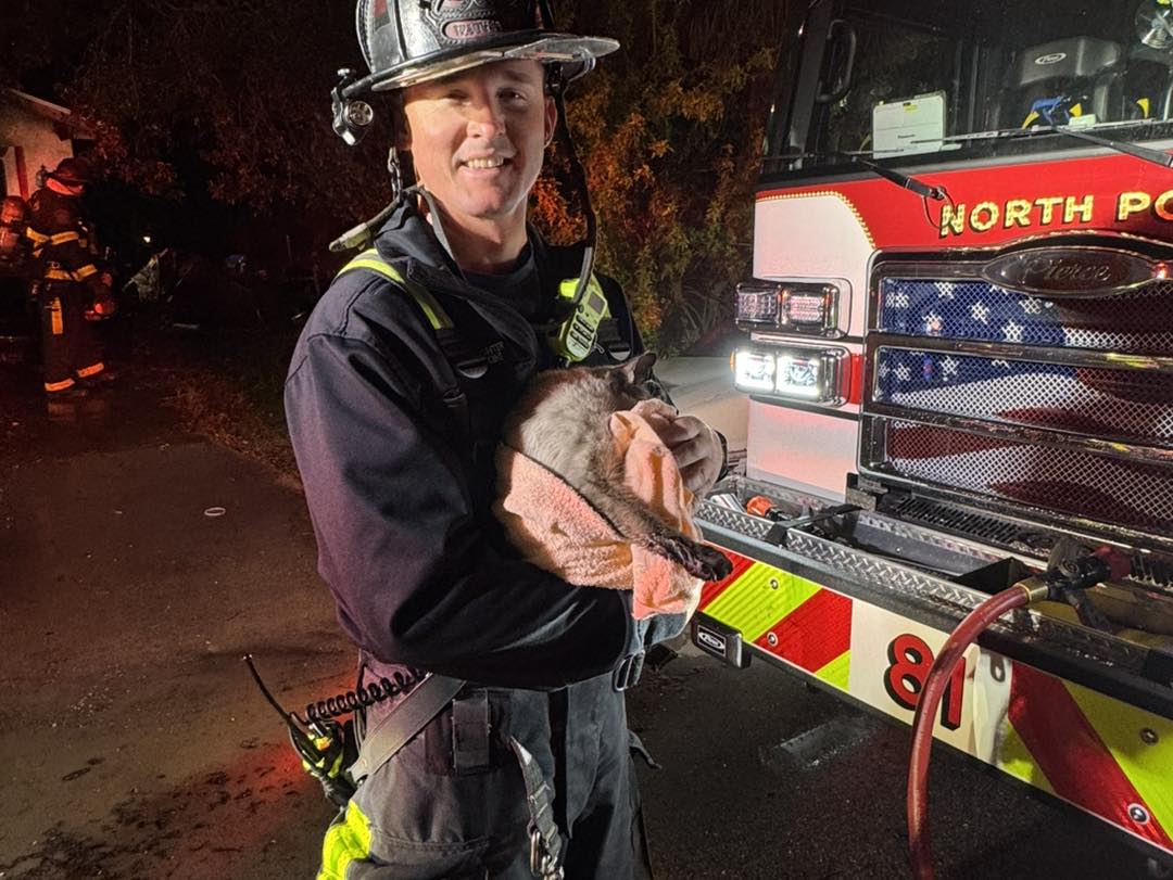 Pet oxygen masks save lives