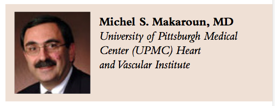 Dr Michel S Makaroun