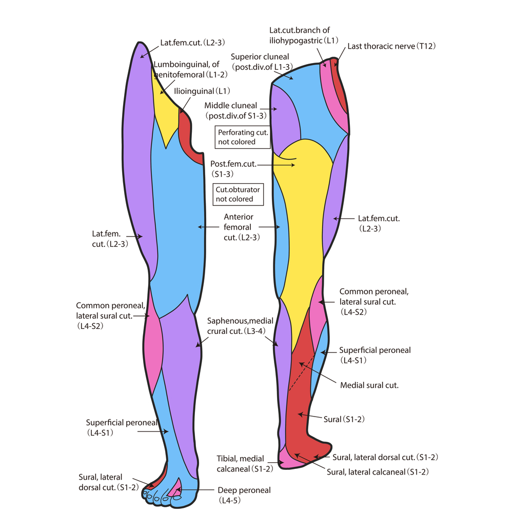 Think Proximal: Recognizing Lumbosacral Spine Disorders in Foot and ...