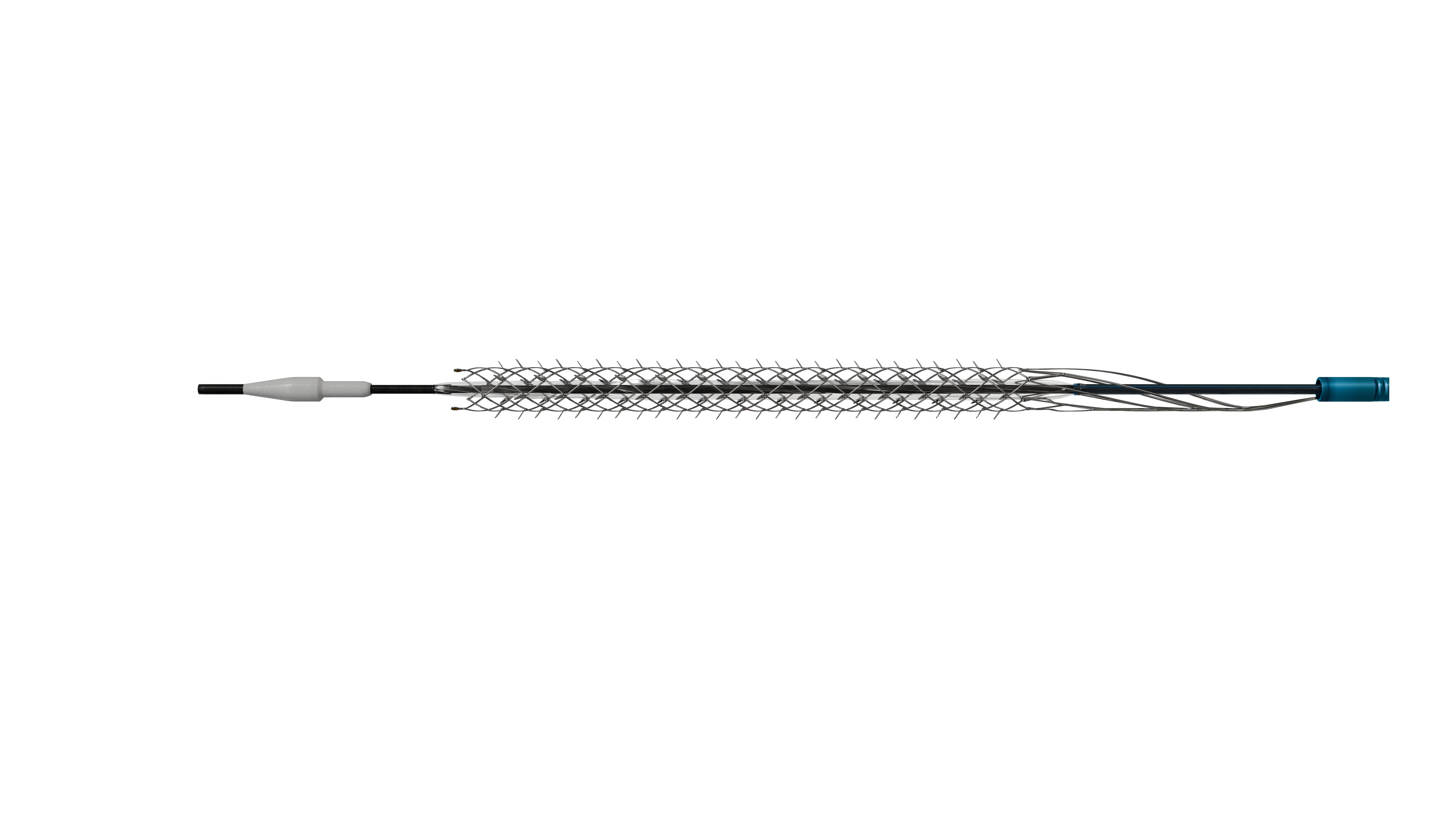 Spur Stent System