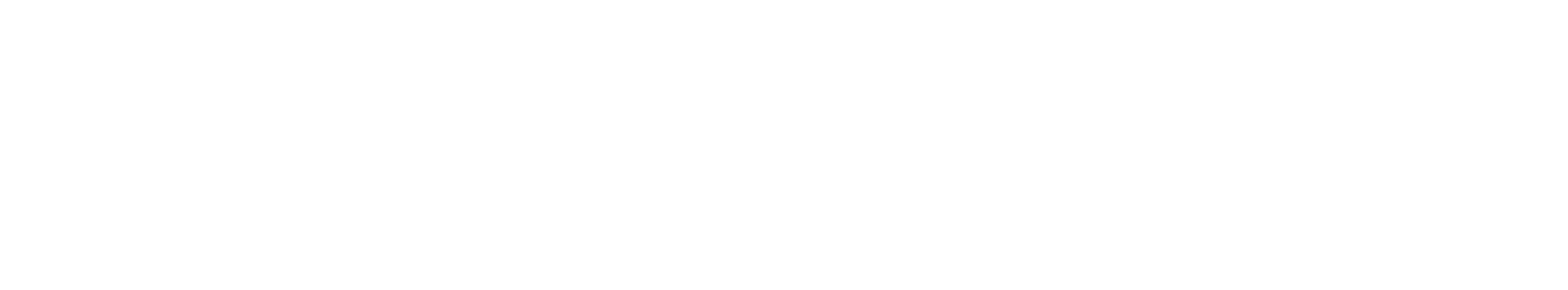 Leipzig Interventional Course logo
