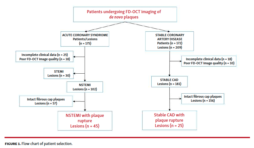 Plaque Rupture Chart Coronary Plaque Rupture in Stable Coronary Artery Disease