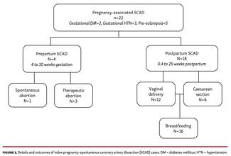 Details and outcomes of index pregnancy-spontaneous coronary artery dissection