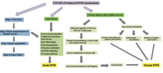 Kanuri - Cardiac Dysautonomia