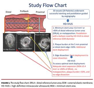 The study flow chart.