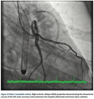 Nagaraja CLD July 2021