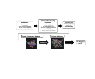 Bhatia - Convergent Atrial Fibrillation Ablation
