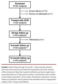  Paclitaxel DCB 12-Month PREVAIL Study Results Figure 1