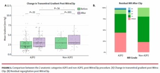 Comparison between the 2 anatomic categories A2P2 and non-A2P2, post MitraClip procedure.