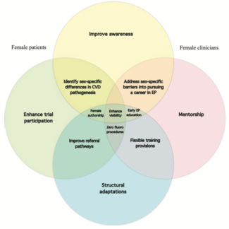 Segan Gender Equity TN