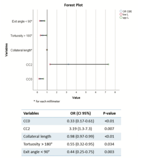 Ioppolo Chronic Total Occlusion TN