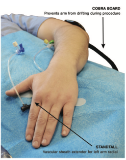 Madder StandTall Sheath TN