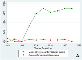 Simsek Chronic Total Occlusion TN