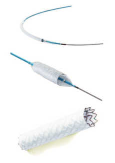 Biotronik Culley PK Papyrus Figure 1