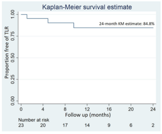 Giannopoulos Drug-Eluting Stent Figure 1