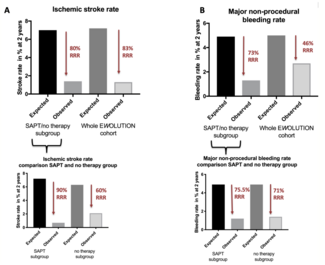 Paitazoglou EWOLUTION TN