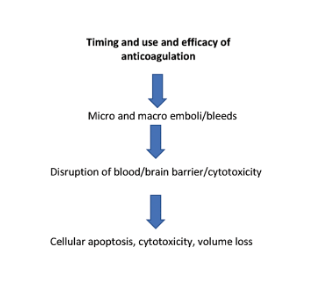 Atrial Fibrillation and Dementia Moulton EPLD