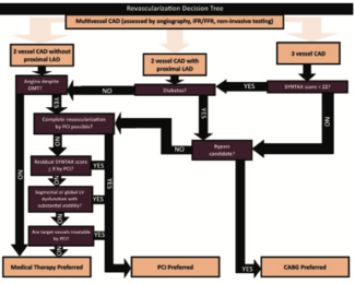 Klein Ischemic Heart Disease Figure 1