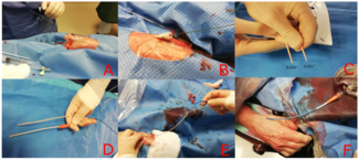 Ungureanu RailTracking Figure 1