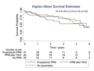 Pavitt TAVR Figure 2