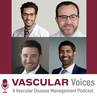 Drs Ahmed, Paul, Secemsky, and Sista