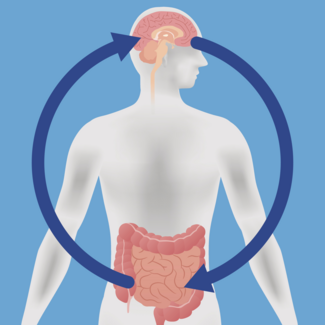 gut brain interaction