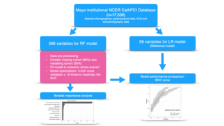 Arsanjani PCI Figure 1