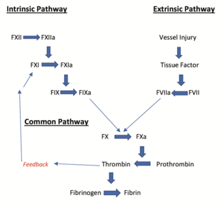 Moulton Factor XIa Inhibitors Figure 1