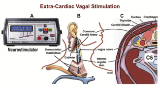Pachon letter Figure 1