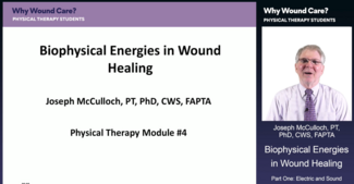 Joseph McCulloch, PT, PhD, CWS, FAPTA