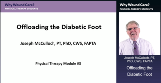 Joseph McCulloch, PT, PhD, CWS, FAPTA