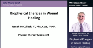 Joseph McCulloch, PT, PhD, CWS, FAPTA