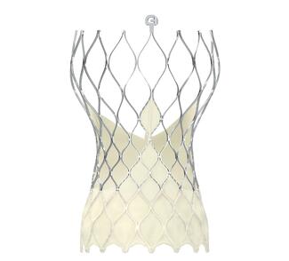 Medtronic Evolut PRO