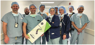 Metzl_Wong Electronic Medical Record Figure