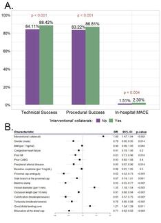 Figure 1. Procedural outcomes