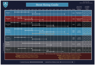 Stent Sizing Guide