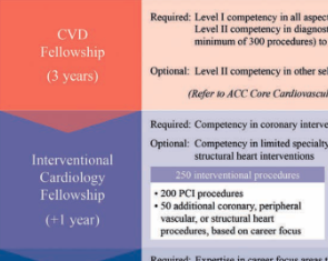 Chart of training timelines
