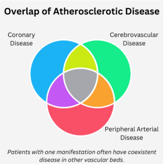 CLD Corazon Figure 1