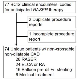 Figure. Study flowchart