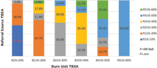 Burn Wound Size Estimation