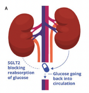 Kern CLD Feb 2024 Figure 1