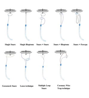 Figure 1. Various techniques 