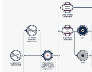 Algorithm CLD Mar Spratt