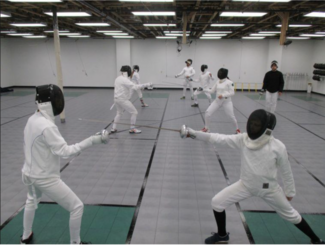 fencing